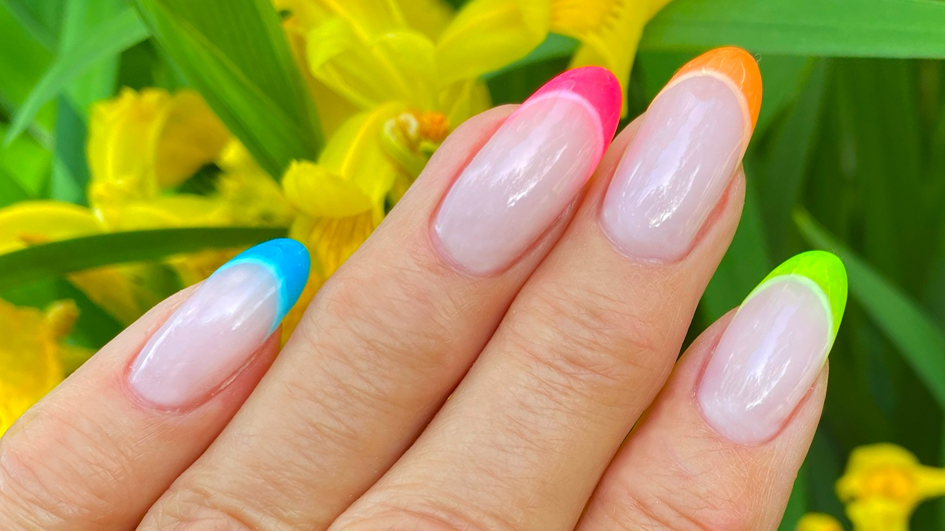 ASP What's Trending Multicolor French