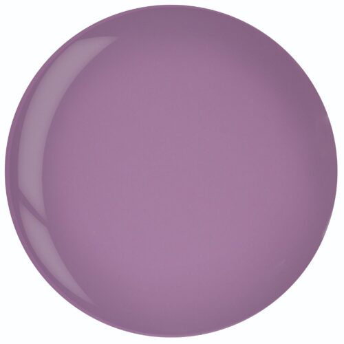 ASP Soak-Gel Polish Enchantment