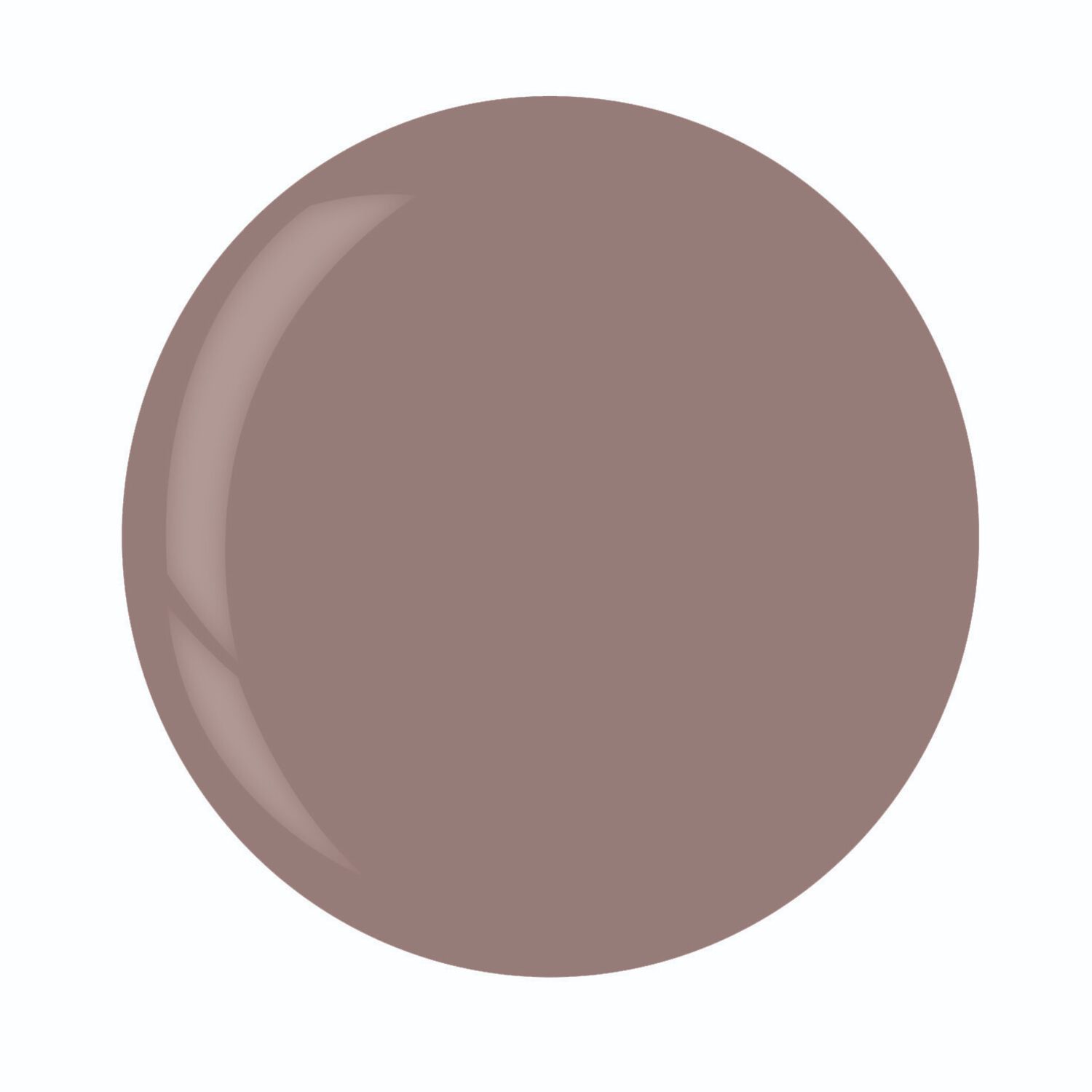 ASP Gel-Polish-Grey-Vs-Gray