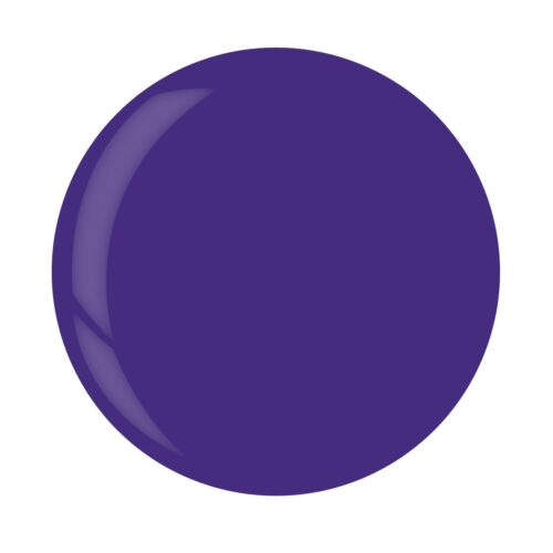 ASP Versatility Gel Beyond Grape