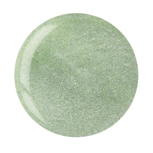 ASP Cat Eye Gel Polish Copy Cat