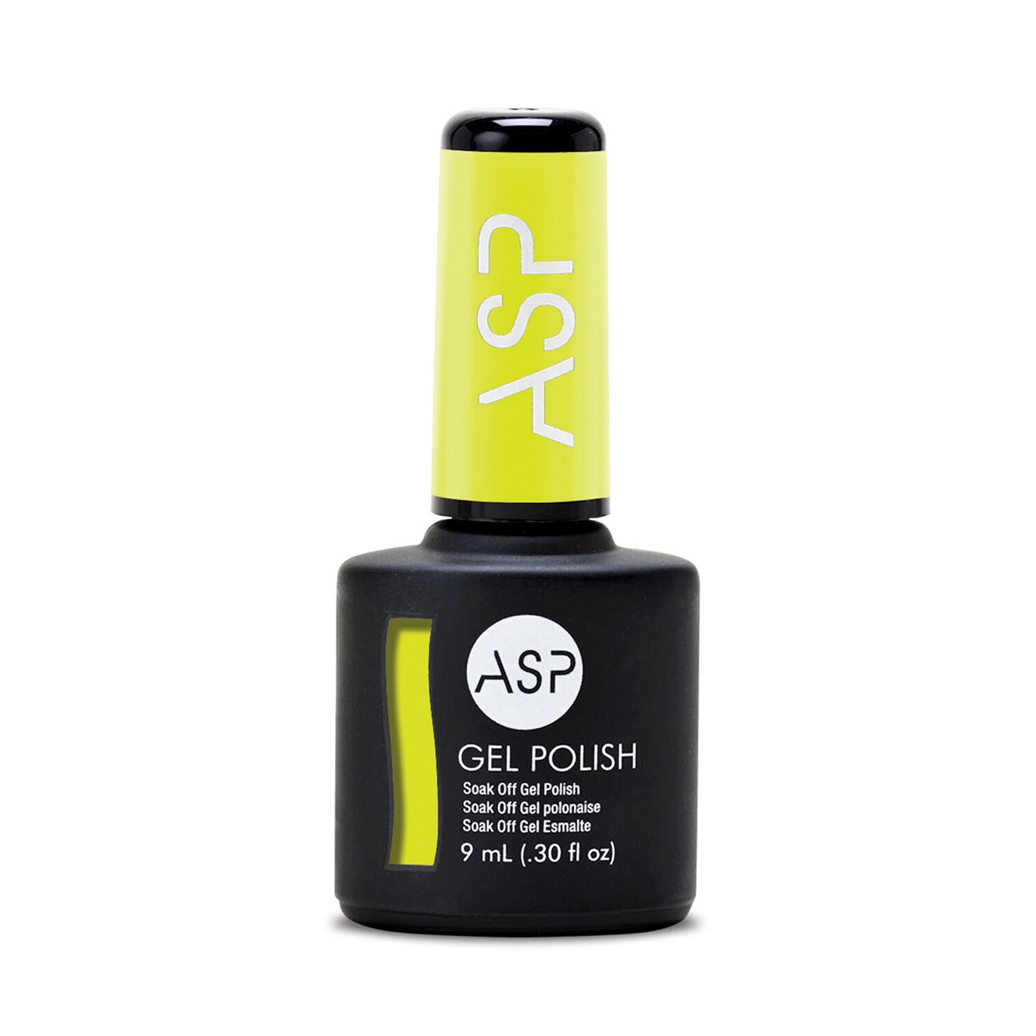 ASP Highlight of My Day